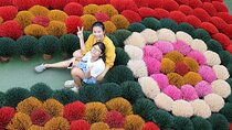 Quang Phu Cau Incense Village Tour