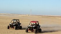 Exhilarating Buggy Adventure in Palmeraie & transfer - Marrakesh