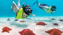 Cayman Adventure Stingrays Starfish plus Crystal Caves 