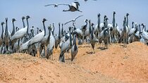 Explore Delhi Agra With Exclusive Bharatpur Bird Century 3 Day 