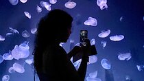 Tokyo, Aquarium Backyard Tour and View Observatory in Ikebukuro