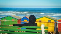 5-Day Guided Cape Town Tour with day tours and Accommodation