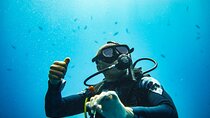 Nusa Penida Private Diving Tour by Speedboat