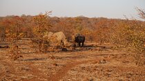 5 Day - Quadruple Package Zimbabwe, Zambia, Botswana & Namibia 