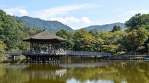 Lake Biwa Shirahige Shrine and Ukimido Day Tour from Osaka Kyoto