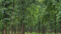 Kerala's Virgin, Prosperous Villages 1 Day Tour Free Pick up&Drop