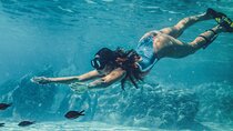 Ras Mohamed & White Island,Snorkeling & 1 Diving -Sharm el sheikh
