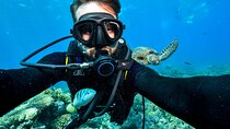 Professional Dives Daily Trip with Transfer & Lunch - Hurghada