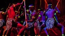 Safari Cat Dancers Show And Dinner