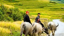 2 Days and 1 Night Trekking Group Tour