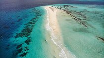 A Half Day Private Nakupenda Sandbank with Seafood BBQ Lunch