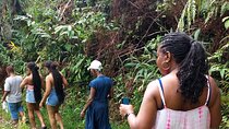 Blue Mountain Sight-Seeing & Nature Trail Hike with Private Guide