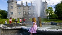 Dublin to Kilkenny Castle and Waterford Private Day Tour