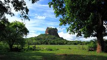 Day Trip to Sigiriya & Dambulla (All-Inclusive)