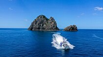 Bay of Islands 2-Day Tour & Cruise from Auckland (hotel included)