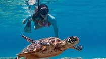 Underwater Temple in Amed Bali Snorkeling Tour 