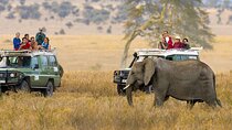 2 Days 1 Night Amboseli National Park Luxury Lodge Safari 