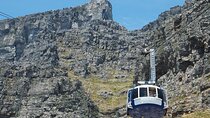 Table Mountain, Penguin,Cape Point Private Day Tour in Cape Town 