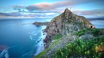 Table Mountain, Cape of good hope Full Day Shared Group Tour 