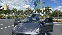 Explore Miami with a Private driver