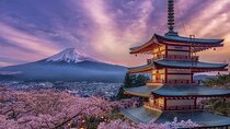 Mt.Fuji and Hakone Private SightSeeing Day Tour(from Tokyo)