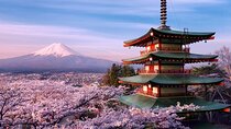 Mt.Fuji Private SightSeeing Day Tour (From Tokyo) 
