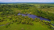 Caño Blanco Nature Sanctuary by Boat