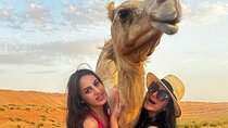 Private 2 Days 1 Night Wahiba Sands Desert and Wadi Bani Khalid Tour