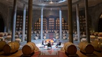 Salentein Wine Tour at the Heart of Uco Valley