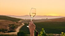 Wine Icons Tour in the Sparkling World of Chandon
