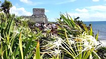 Tulum Express from Cancun and Riviera Maya