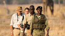 Walking safari Experience in Mosi oa Tunya National Park