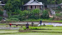 Discover Mai Chau's Hidden Beauty: Cycling in Rural Villages