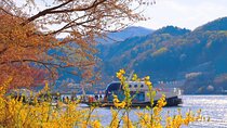 Trip to Nami Island with Petite France & Italian Village, Garden of Morning Calm