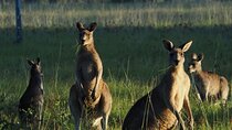 Sydney Wildlife Safari