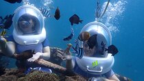 Nusa Dua Marine Activities Sea Walk and Parasailing Adventure