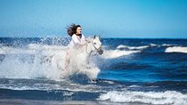 3 Hours Horse Ride & Swimming in the Red Sea- Hurghada