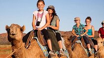Camel Riding in Palmeraie Grove with 2 Hours ride and transfer