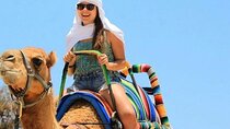 Camel Ride Through the Palmeraie Grove With Transfer - Marrakesh