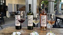 1-hour Wine Tasting and Pepa de Oro Chocolates Experience