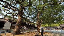 Sacred Morning Walk and Brunch Meiji Shrine
