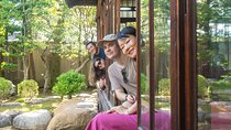 Private Full Day Guided Tour in Tokyo