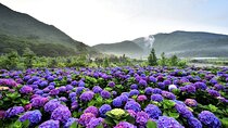 From Taipei: Yangmingshan, Yehliu, Jiufen & Shifen Private Tour