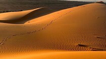 Private Safari tour and Wadi in 4x4 with a local guide