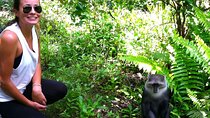 Explore Jozani Forest & Rock Restaurant with Transfer – Zanzibar