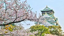 Osaka, Nara and Kyoto Day Trip with English Speaking Driver
