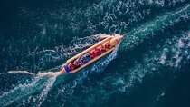 Mega safari Guided Tour, Parasailing, Glass Boat & Banana Ride