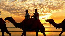 Thrill & Chill in Sharm: Quads, Camels & Parasailing Fun