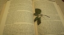 Istanbul Literature Tour 