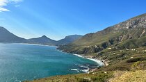 Full Day Private Tour in Cape Town 